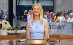 Gwyneth Paltrow Lost The Day